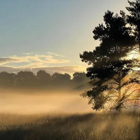 In Veluwe Near Hoge Veluwe Park * Voorthuizen