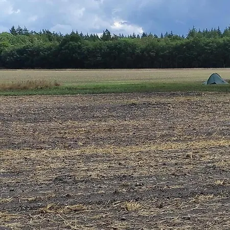 In Veluwe Near Hoge Veluwe Park Feriehus Voorthuizen