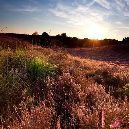 Feriehus In Veluwe Near Hoge Veluwe Park
