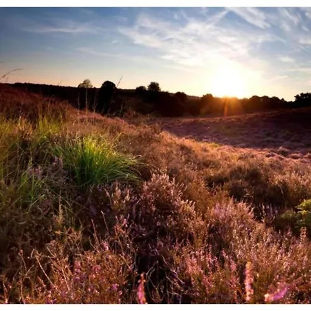 Feriehus In Veluwe Near Hoge Veluwe Park