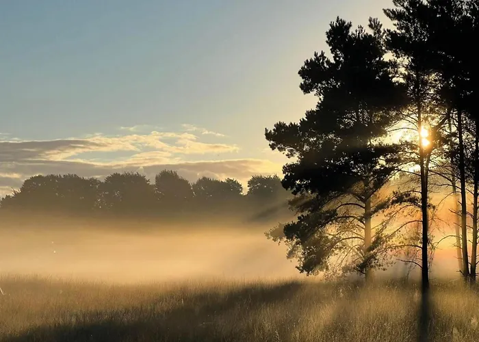 In Veluwe Near Hoge Veluwe Park * فورتهاوزن