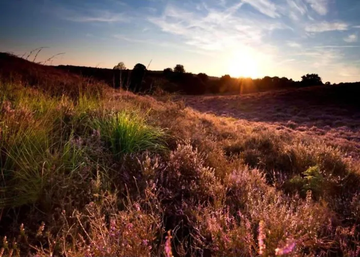 بيت للعطل In Veluwe Near Hoge Veluwe Park
