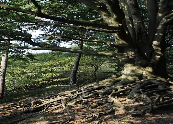 بيت للعطل In Veluwe Near Hoge Veluwe Park فورتهاوزن