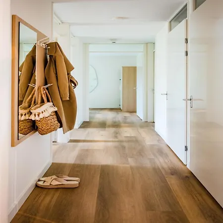 In Veluwe Near Hoge Veluwe Park 福尔特赫伊曾