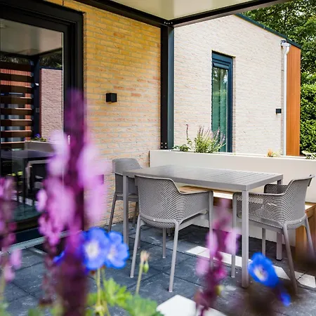 In Veluwe Near Hoge Veluwe Park 福尔特赫伊曾