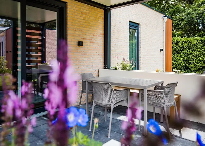 In Veluwe Near Hoge Veluwe Park Voorthuizen