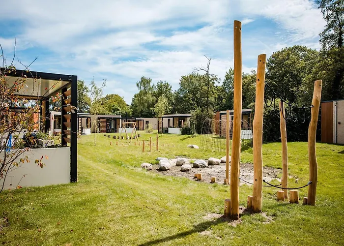 In Veluwe Near Hoge Veluwe Park Voorthuizen