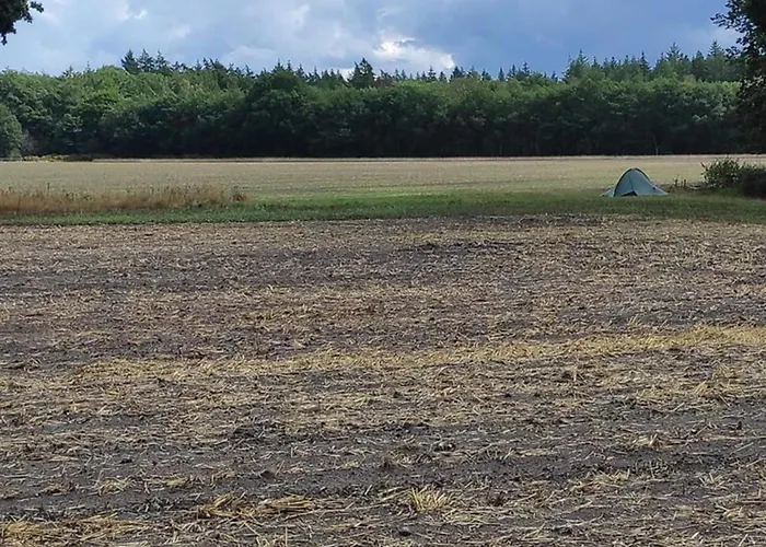 In Veluwe Near Hoge Veluwe Park Casa vacanze Voorthuizen
