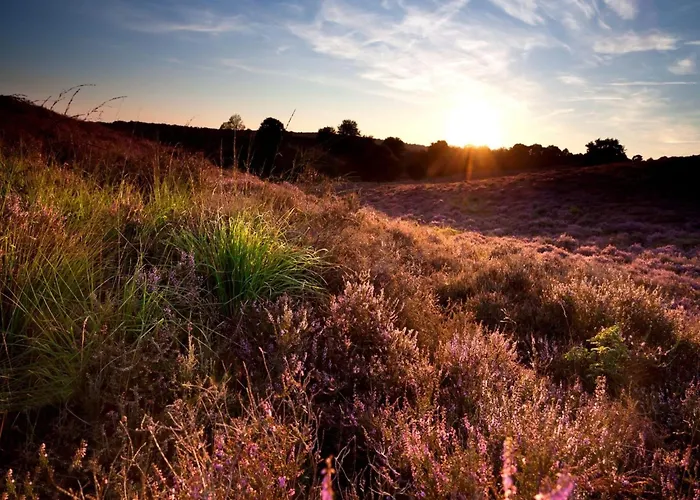 Casa vacanze In Veluwe Near Hoge Veluwe Park