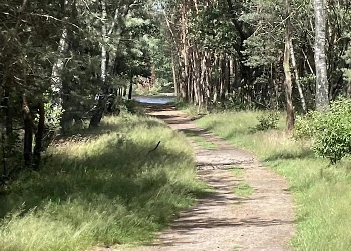 In Veluwe Near Hoge Veluwe Park * Voorthuizen
